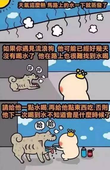 请接力！叔叔阿姨，请不要赶我走……