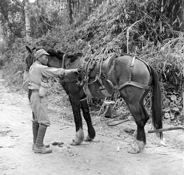 作战|中国远征军老照片:走出国门打日本鬼子