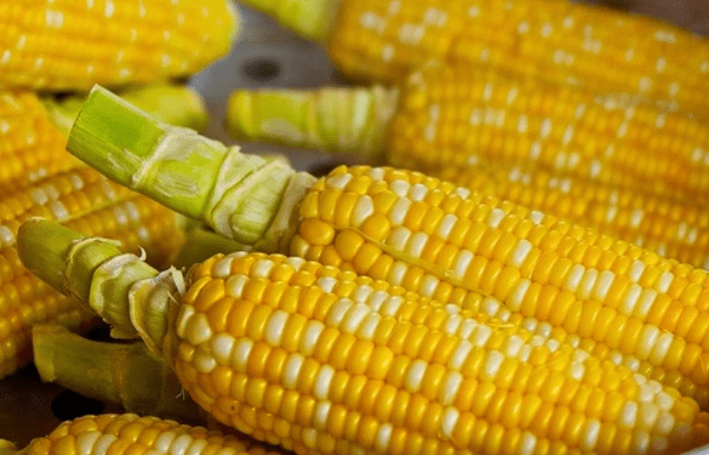 fa609e5063ab47209698e9f00aa07b6e.png