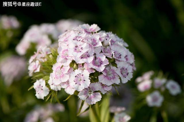 在8月份，貴人相助，前途無量，節節攀升的三大星座 星座 第2張