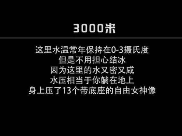 412ccc5ff1074b68b0ea50478da6bf77.jpeg