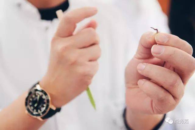 潜水|如何一眼识别“隐形贵公子”？