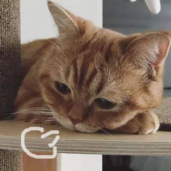 限制|解读 | 美国新签证限制令，到底限制了谁？