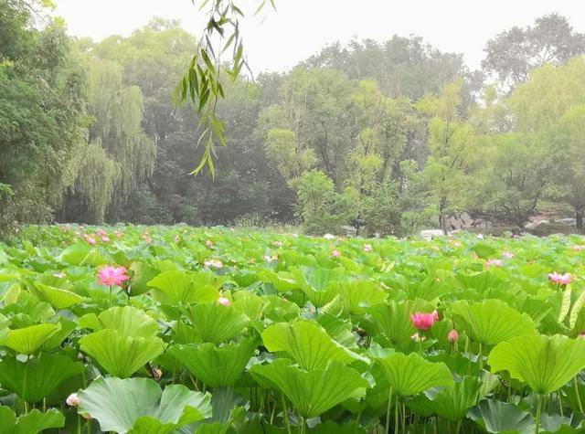 冷门|快来看看有哪些“比较冷门”的专业，你都听过吗？