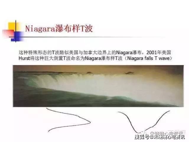 4f63112d4de74bd1a9dc088def670e19.jpeg