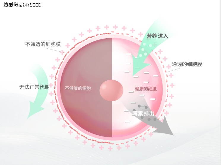 8742dc914b344291bca50e4707caf0bc.png