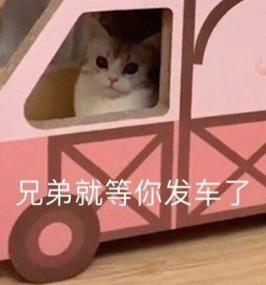 热门表情包拿图片:我挺好的,就等你开车了