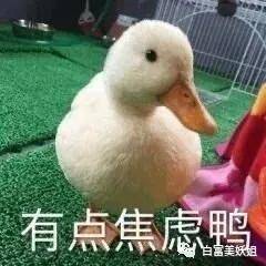 震动|日赚2亿日本第一女公关金盆洗手，震动半个富豪圈…