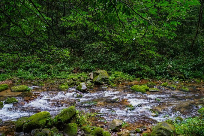 湖南|张家界、凤凰古城4-5天怎么规划行程？当地消费如何？怎么玩比较省钱