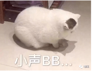 罗志祥|哈？罗志祥和周扬青这么快就和好了？