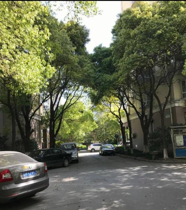 闵行实|背靠名校！上海这所新开学校热议度超高！9月首届招生成热门 |复旦附属闵行实