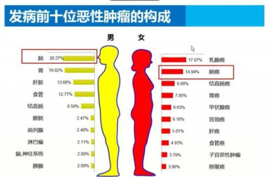 如何快速降低体脂率饮食篇 21211c0e40e547e79132958c7f700e36.jpeg