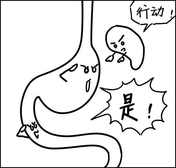 什么|湿气到底是什么？——长胖的罪魁祸首！！