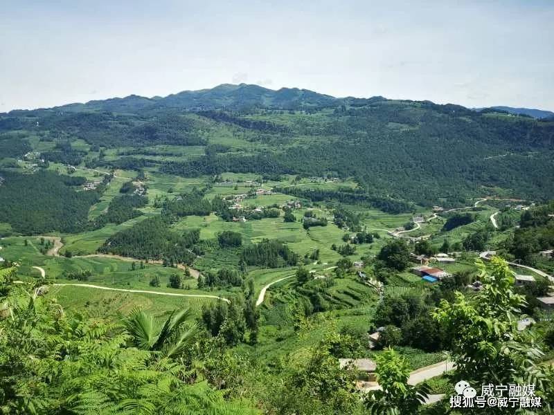 兔街镇发展特色产业助农增收致富
