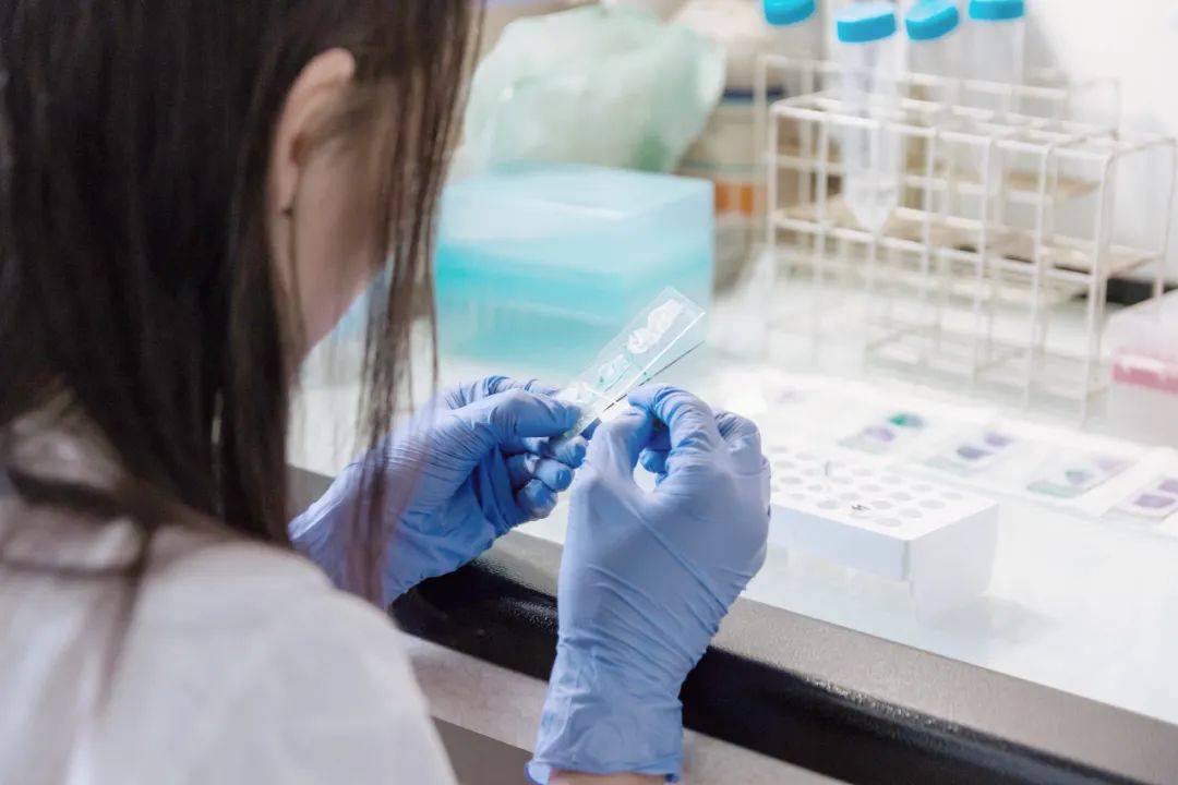 公司|强强联合！和铂医药携手维亚生物，就共同孵化创新药企业建立战略合作伙伴关系