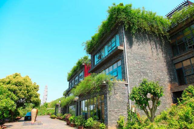 彭山|桃中极品，口口香甜彭山黄桃