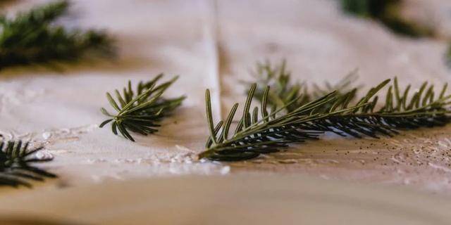 高考|转给考生| 高考失利，到底该不该复读？看完这些你或许有答案！