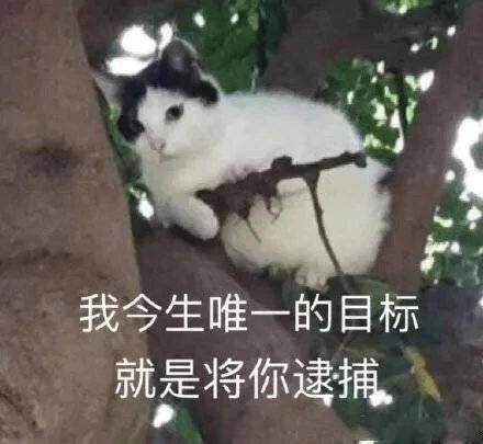 46848288a3d14441a51bc13203328c16.jpeg