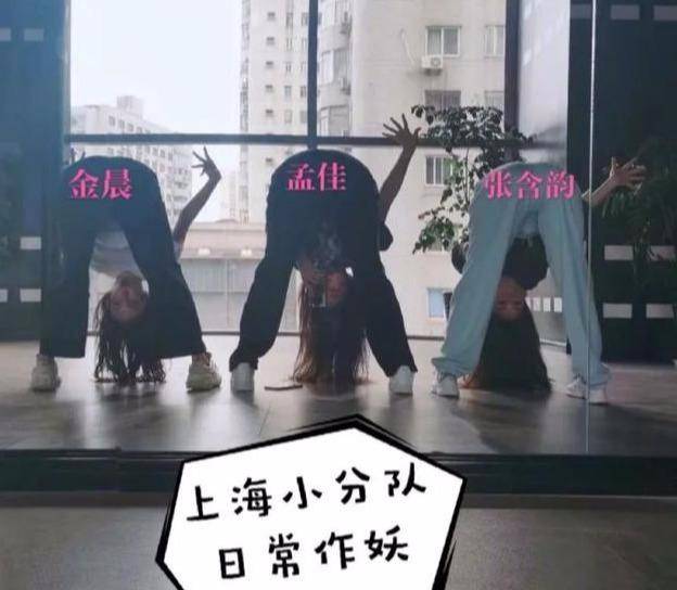 头发|发量贫困户金晨：别碰我头发！网友：仿佛看到了为发量发愁的自己