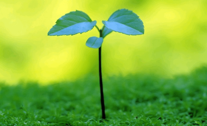 e005f64363b1452ab3adce354f8ef25d.png