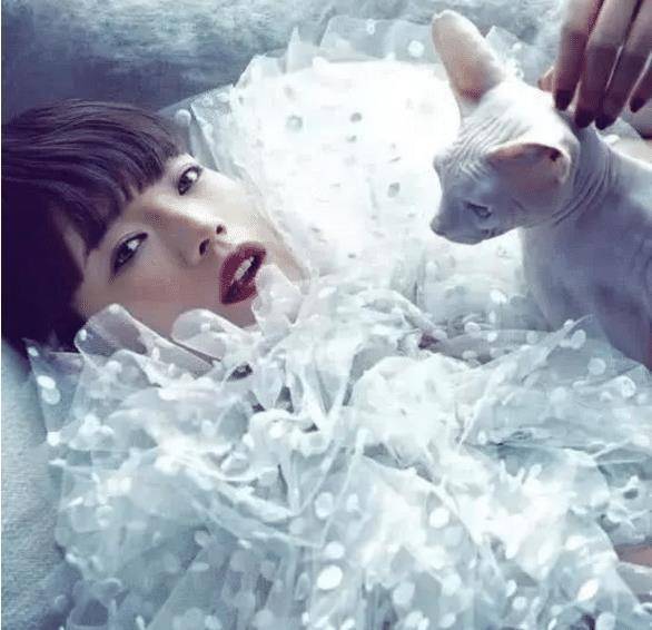 张柏芝|40岁张柏芝撞上44岁舒淇,终于知道仙女和台妹的差距有多大了