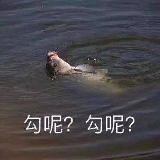 最新表情包拿图片:清醒吧你,我眼已看透一切