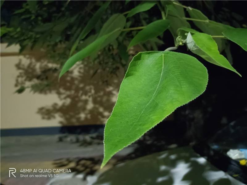 天玑720中端王炸!realme真我V5首发评测