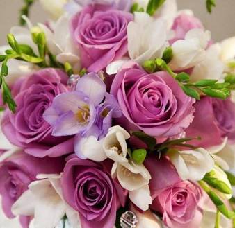 经验教程|馥鹿儿花艺培训学院：对于初学者插花的3个小技巧