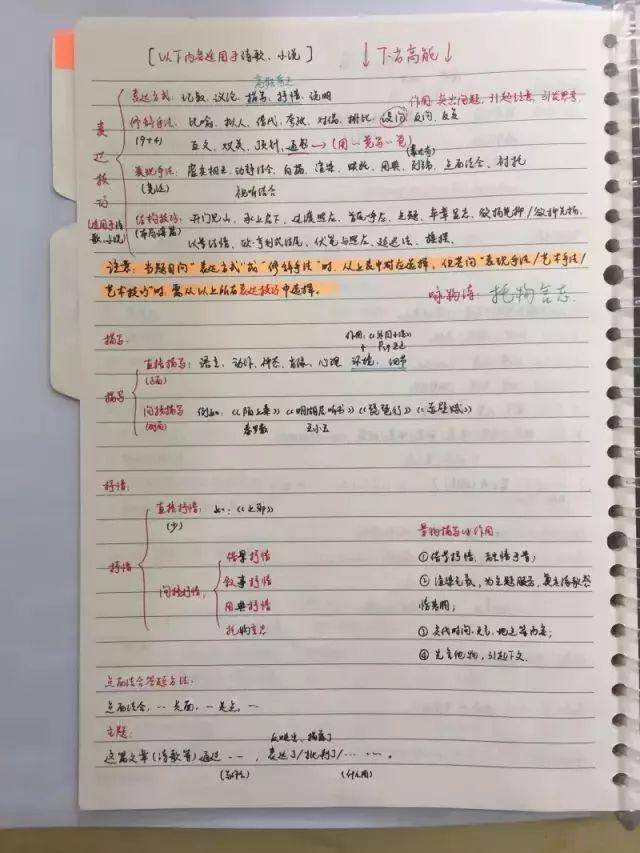 原创高考状元唐楚玥语文146分,学习笔记曝光,字迹工整犹如印刷体