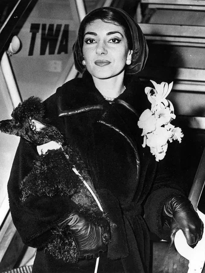 玛丽亚·卡拉斯|船王的情人，赫本的好友，这个200斤女人不简单！