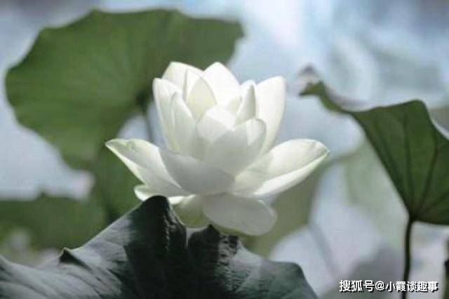 原创让人深有体会的句子,忍得一时之气,消得百日之气