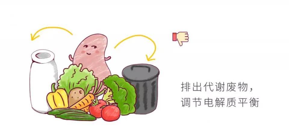 宝宝|请远离这几个坏习惯……为了保护肾宝宝