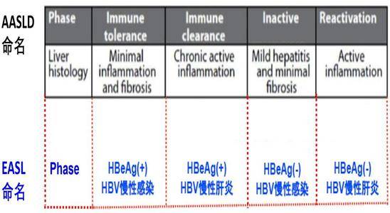 自发性|乙肝新药开发难点，需符合2项特殊条件，自发性血清转化可能吗？