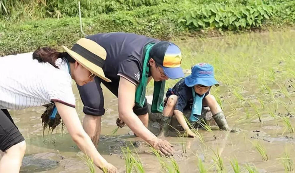 原创霍启刚晒3个儿女早餐照，获网友力赞：餐桌虽寒酸，生活很质朴