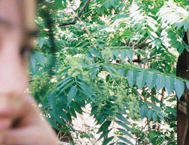 汪峰女儿小苹果近照超美，深夜赤脚坐楼顶，表