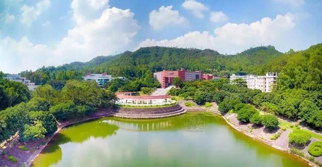 录取分数|提起看!广东这5所大学超厉害!录取分数暴涨?