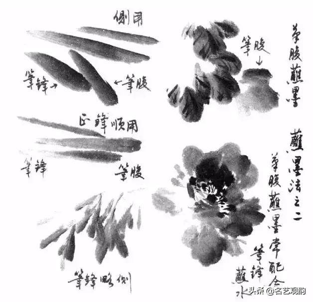 国画技法 写意花鸟画笔墨技法详解之墨法