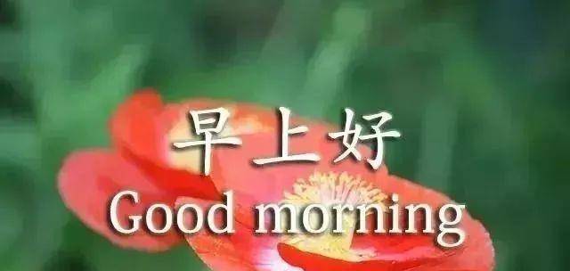 5d7b66f054334ff7aa4b74adf11bb38d.jpeg