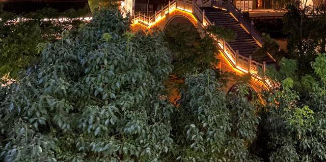 iPhone|有了这软件，旧 iPhone 终于也能拍超级夜景了