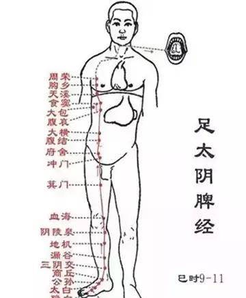 c223793556eb4d8fb5e6fe20b4cbd4eb.jpeg