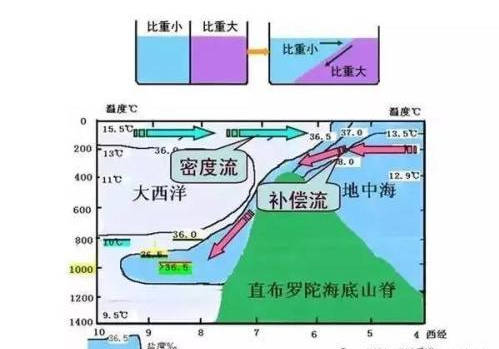 根据洋流的冷暖性质可以分为:暖流和寒流.