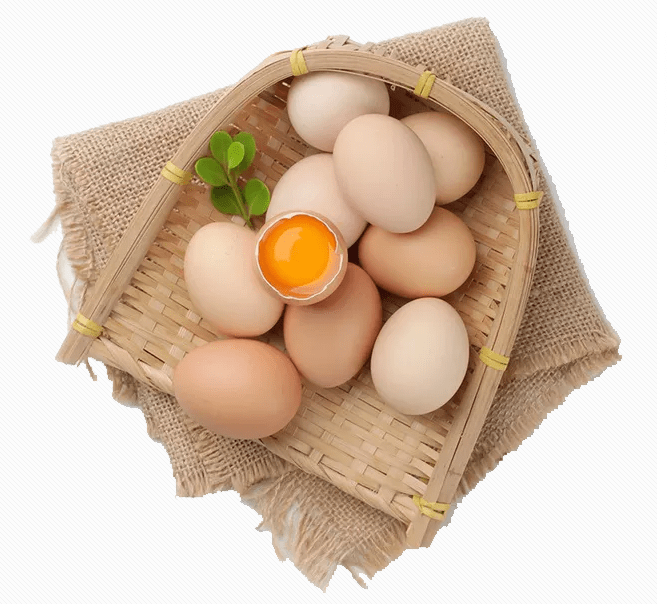 0a3f3499f22e4405985cf8a36845389b.png