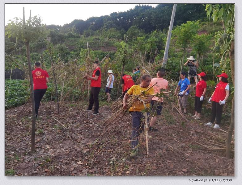 环境卫生大整治|江津区桥南社区组织辖区单位和志愿者进行环境卫生大整治