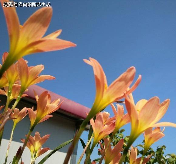 33640d9152174ba6a4352d751eca2782.jpeg