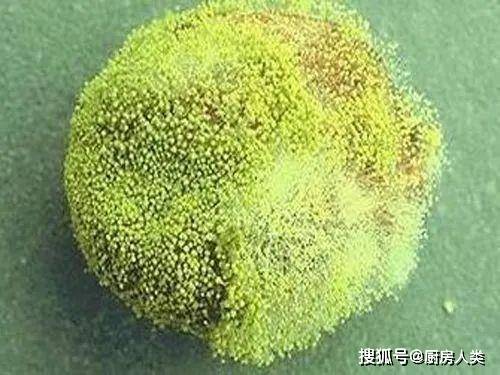 你吃的「每日坚果」可能是假的，霉菌超标10倍！