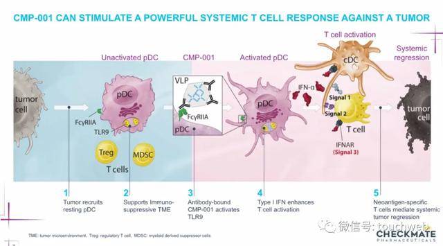 Venture|生物制药公司Checkmate冲刺美股：路演PPT曝光