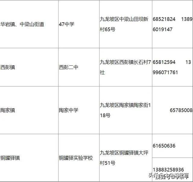 重庆2020年人口流失_2020年人口普查图片(2)