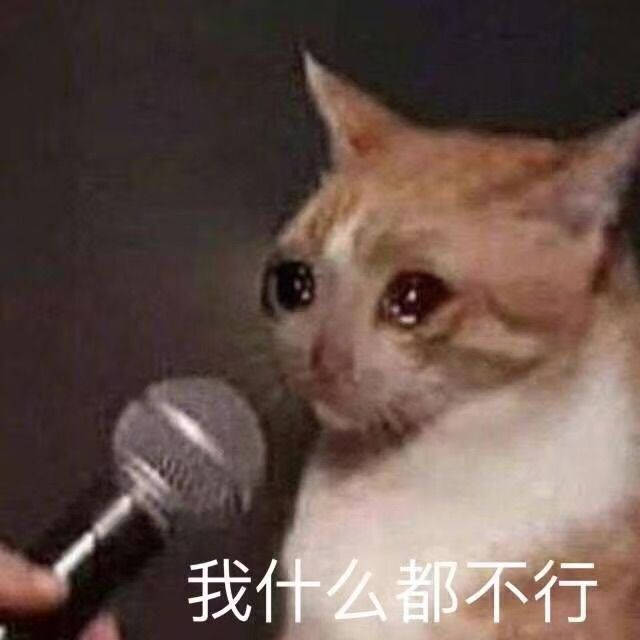 13443e037c7e47dc957448e0e6971b35.jpeg