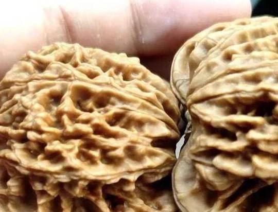 盘核桃有什么好玩的 51e72847dbe3489d8c8220d8f3819daf.jpeg