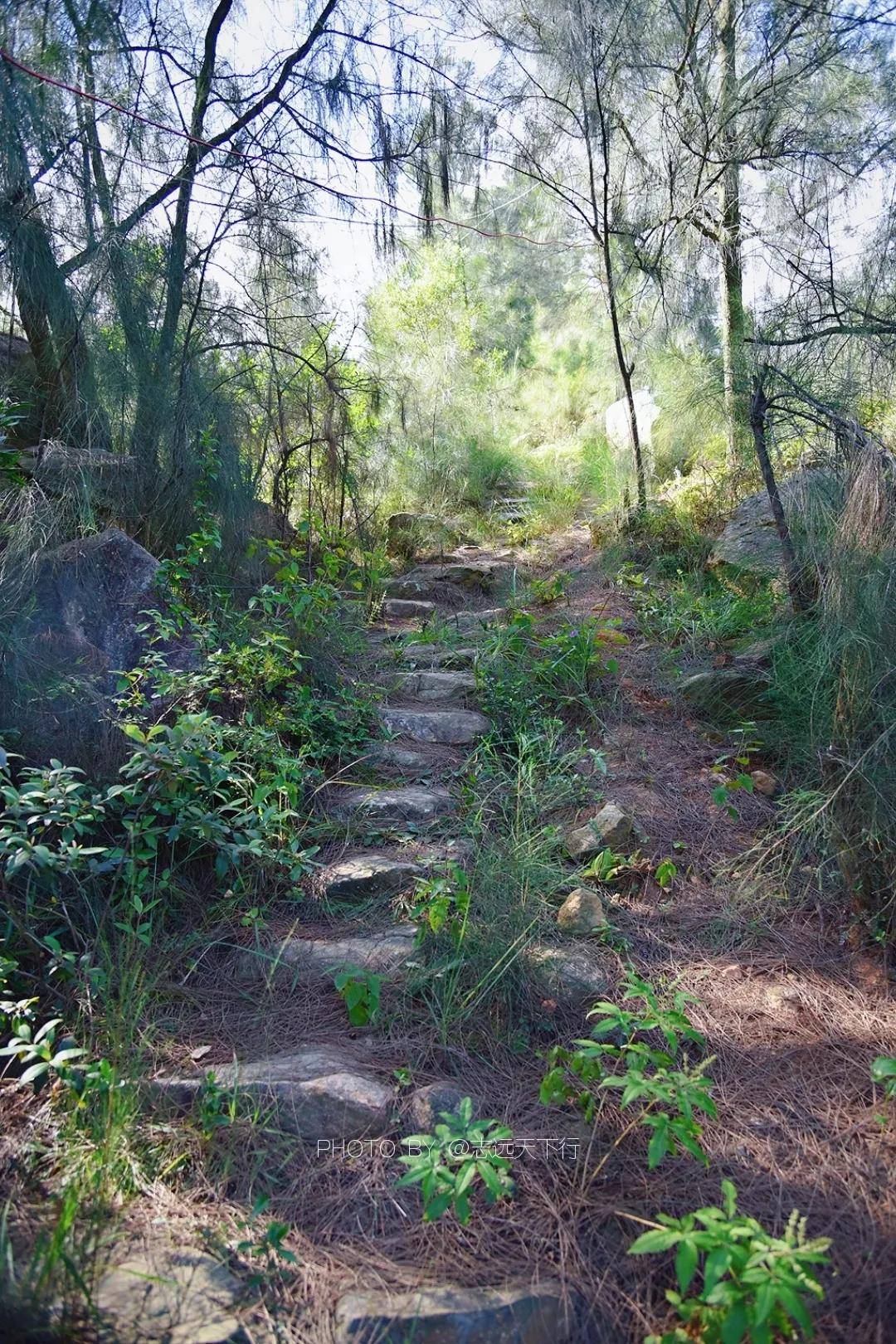 台商秘境探索崧山村古道场遗址游记